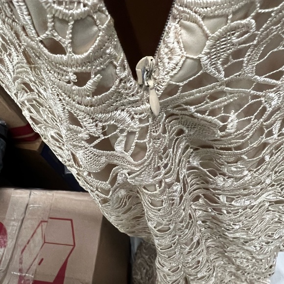 Elegant formal cap sleeve lace column gown by Adrianna Papell. - Picture 8 of 11